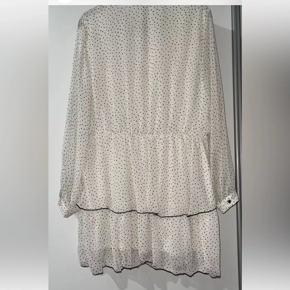 Polka Dot Sheer Blouse with Ruffle Detail